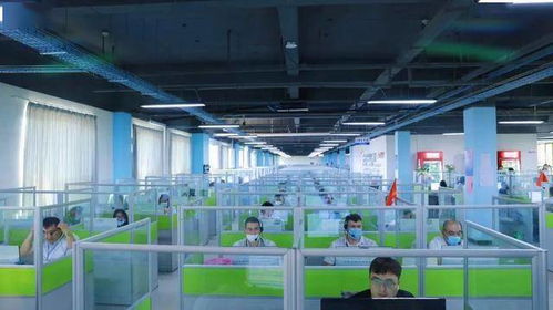 金山驕傲 工業(yè)互聯(lián)網(wǎng)數(shù)據(jù)服務領域集體與個人獲市級表彰