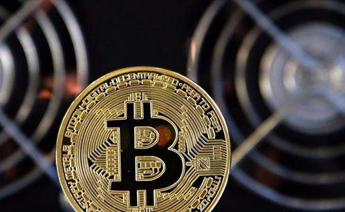 深度剖析 中國股市中工業(yè)互聯(lián)網(wǎng)數(shù)據(jù)服務領域的低估龍頭股